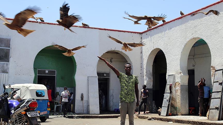 İslam’ın 'dördüncü kutsal şehri': Harar