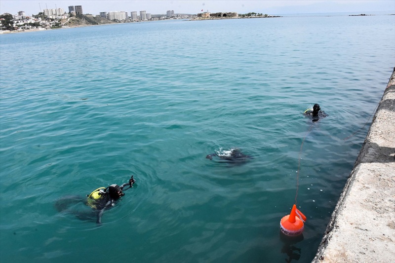 Yumurtalık’ta deniz temizliği yapıldı 