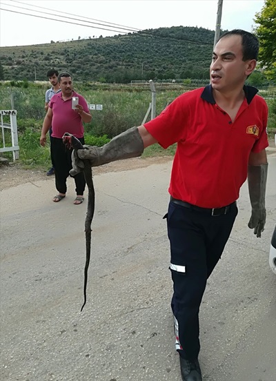 Otomobiline yılan giren sürücünün yardımına itfaiye yetişti