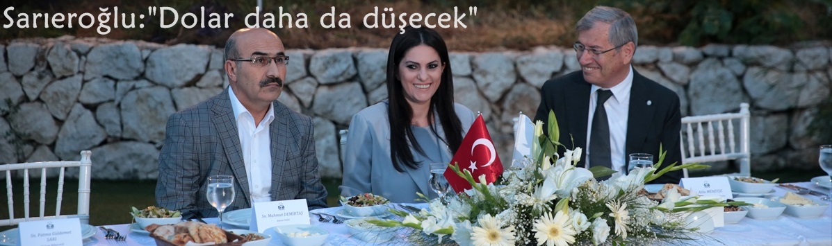 Sarıeroğlu:"Dolar daha da düşecek"