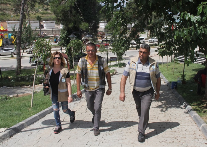 Başı kesilmiş kedi görüntüsü ekipleri harekete geçirdi 
