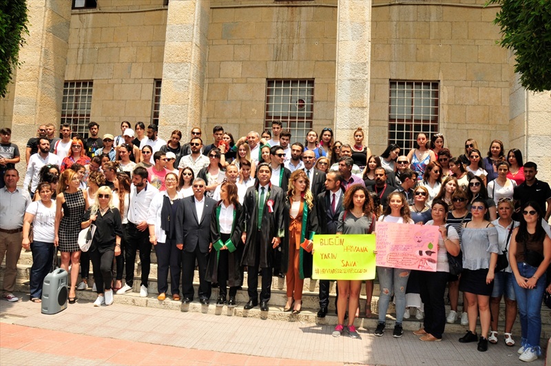 Sakarya'da patileri kesilen yavru köpeğin ölümü