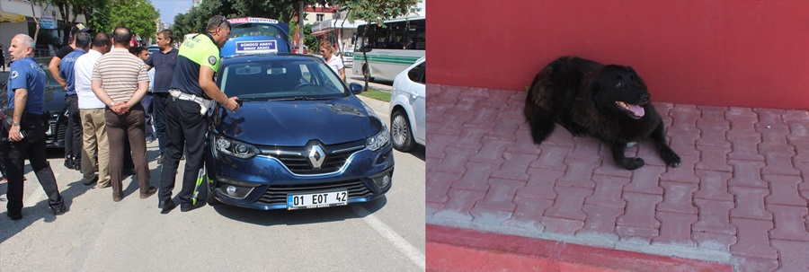 Adana'da köpeğin kovaladığı çocuğa otomobil çarptı