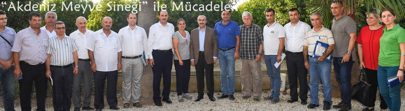 Akdeniz meyve sineğiyle mücadelede başarı sağlandı