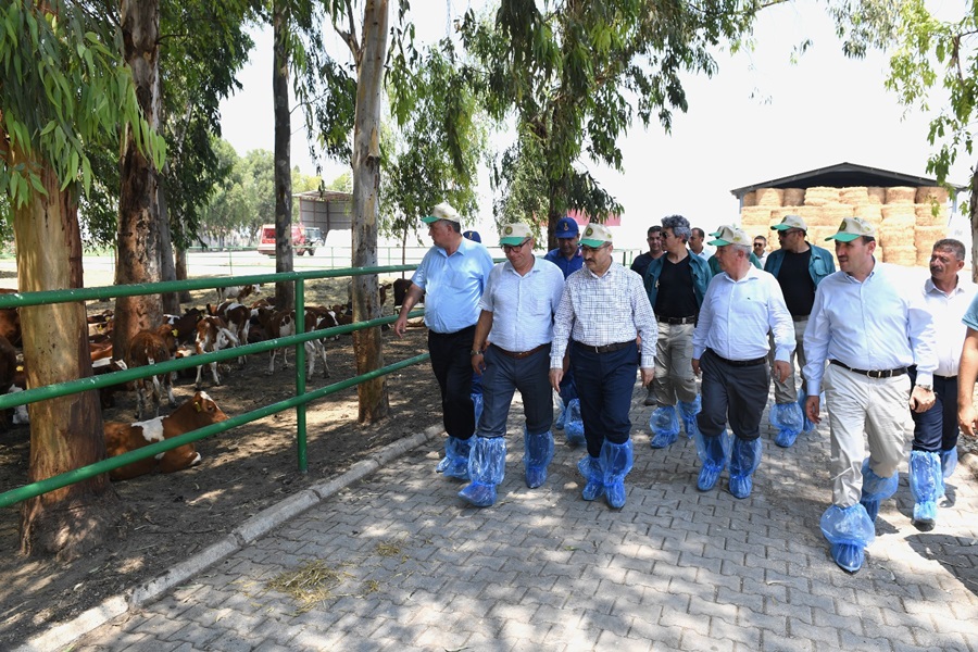 Vali Demirtaş, Tigem Çukurova Tarım İşletmesi'nde İncelemelerde Bulundu