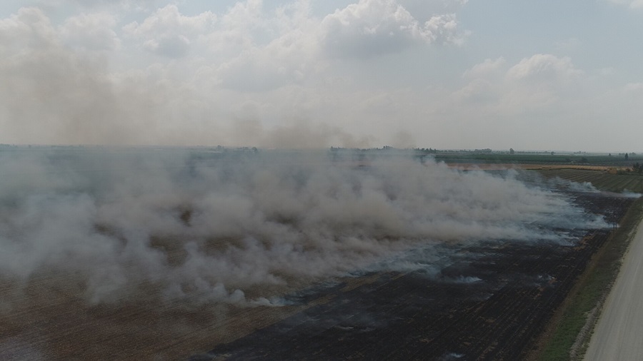 Adana'da anız yakan 26 kişiye 80 bin 517 lira ceza