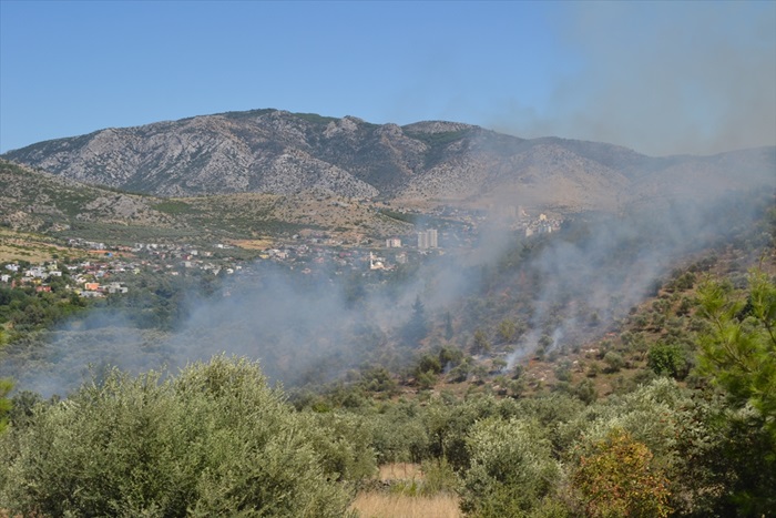 Adana'da makilik ve zeytinlik alanda yangın 