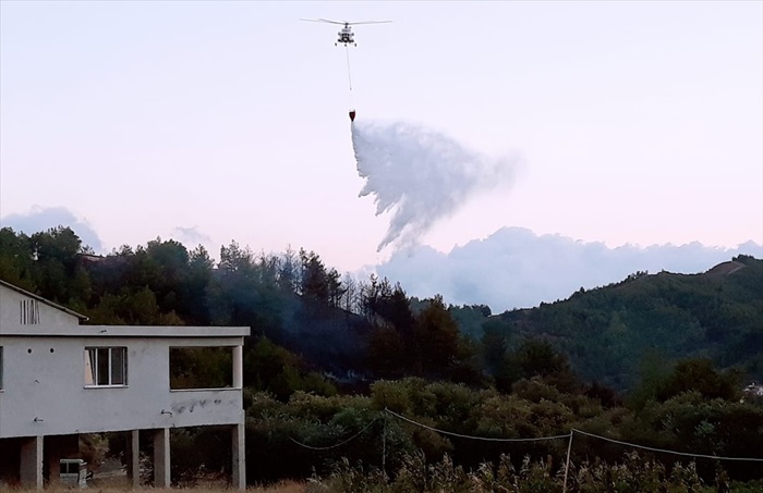 Hatay'da orman yangını