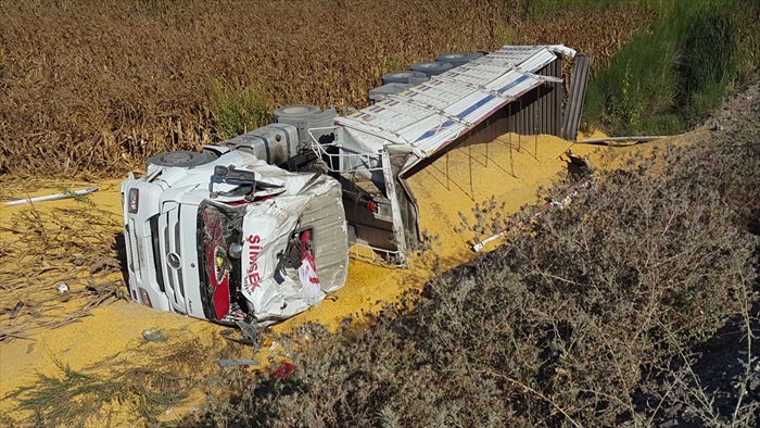 Ceyhan'da mısır yüklü kamyon devrildi: 1 yaralı