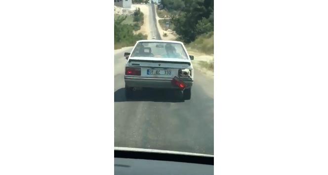 Kurbanlık koyun bagajda böyle taşındı