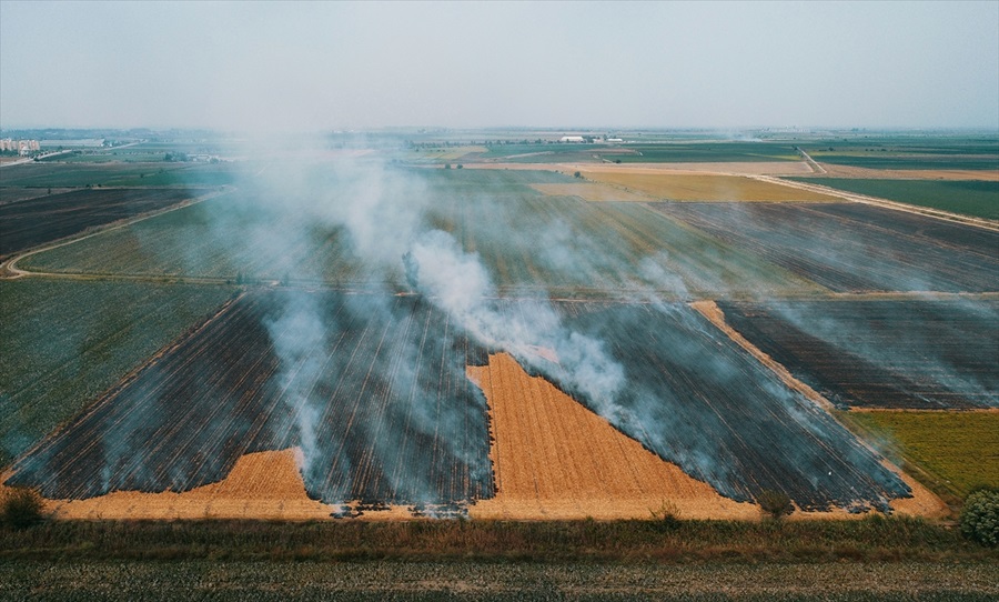 Adana'da anız yangınları kenti dumana boğuyor