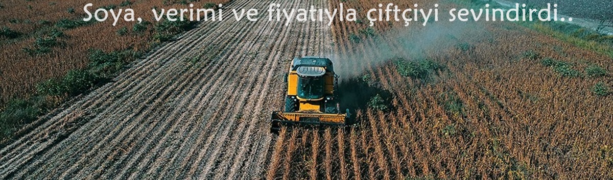 Soya, verimi ve fiyatıyla çiftçiyi sevindirdi