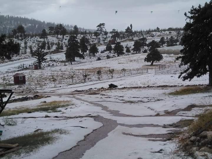 Kar değil dolu  