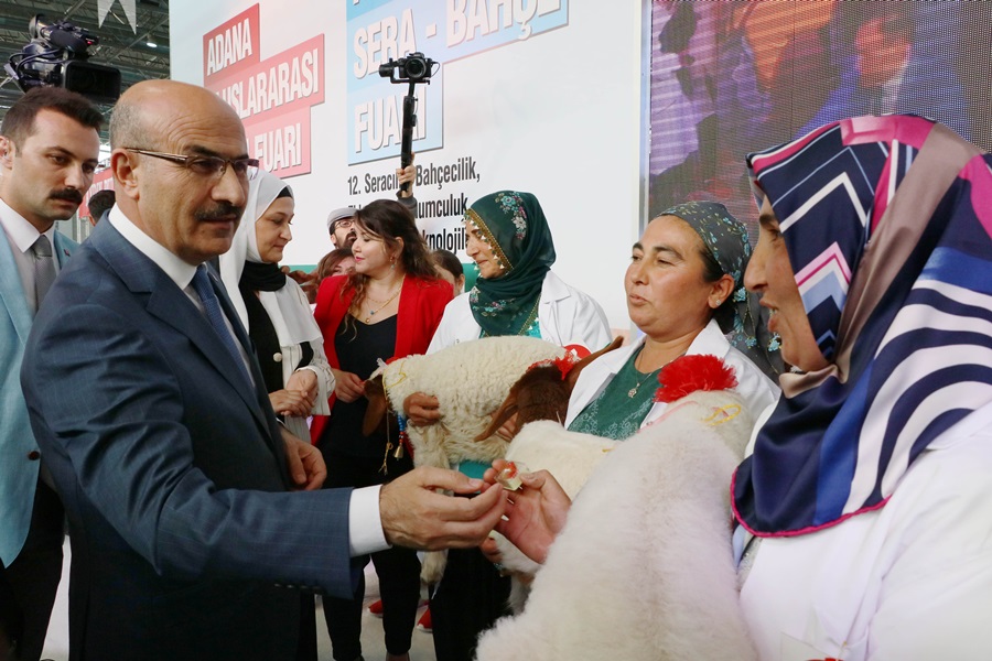 Bu da kuzuların güzellik yarışı