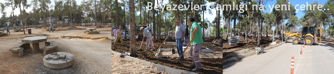 Beyazevler Çamlığı’na yeni çehre