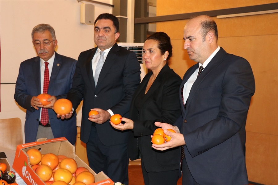 Narenciye üreticilerinden "ilaç kalıntılı ürün" iddiasına tepki