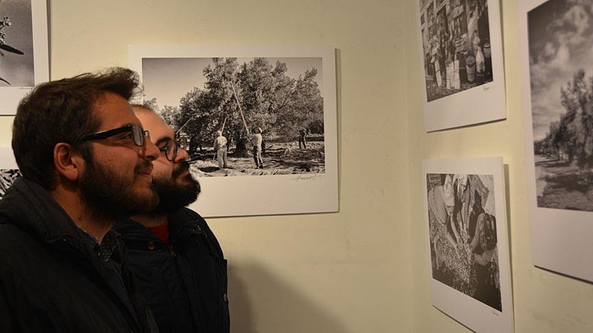 Süt Emek ve Hayat ve Fidandan Sofraya Zeytin fotoğraf sergisi açıldı