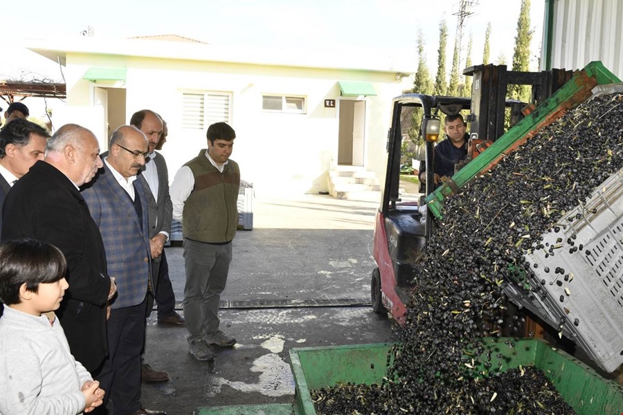 Vali Demirtaş ‘‘Aler Zeytinyağı Fabrikası’’nı Ziyaret Etti