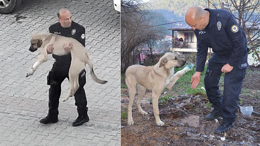 Adana Barosu suç duyurusunda bulundu