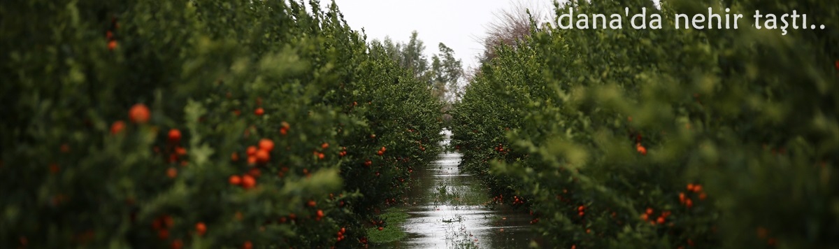 Adana'da nehir taştı
