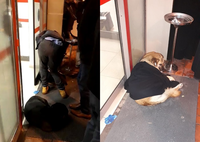 Montunu çıkarıp üşüyen köpeğin üzerine örttü  