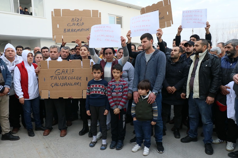 Konkordato talep eden firma ve 3 milyon civciv için Adana Valiliği devreye girdi  
