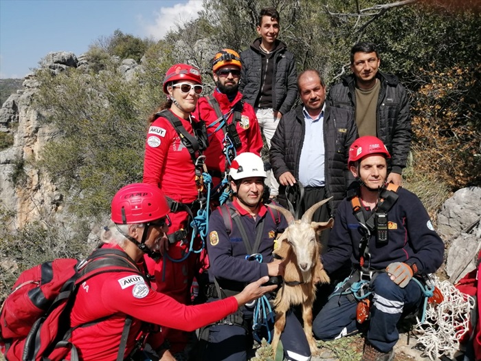 Dağ yamacında keçi kurtarma operasyonu