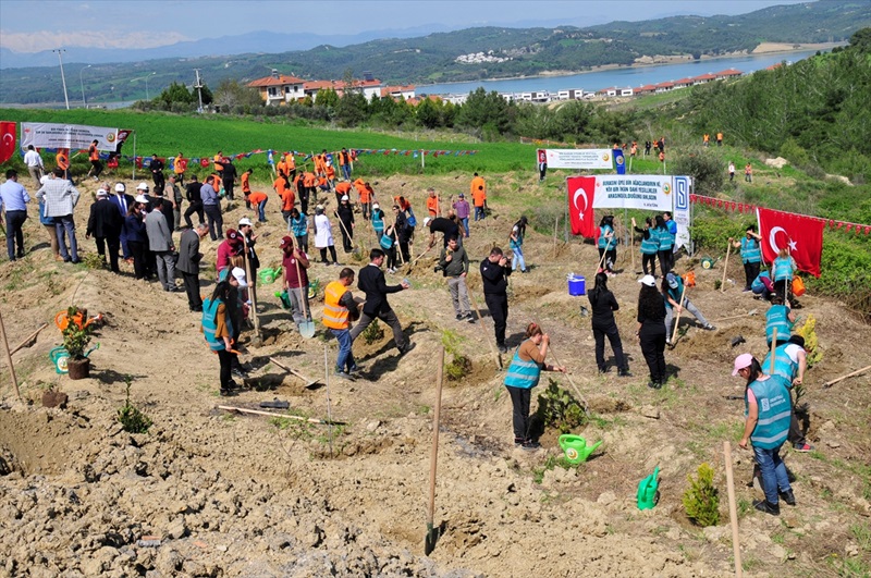 Tufanbeyli'de öğretmenler için hatıra ormanı oluşturuldu