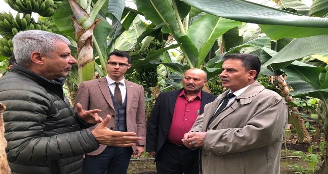 Sarıçam Kaymakamlığı'nın seracılık projesine ödül