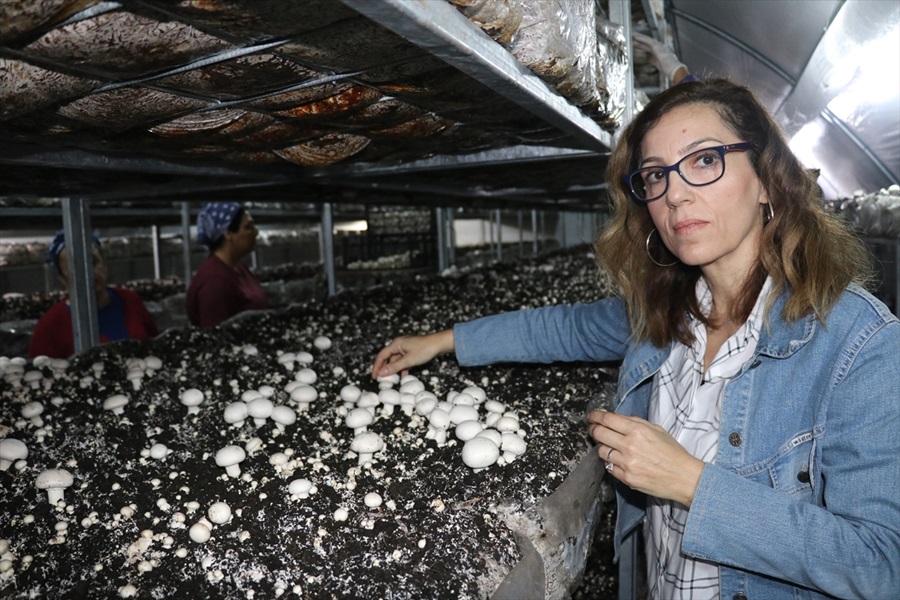 Oğlunun borcu için yaptırdığı gelir testi, tesise dönüştü