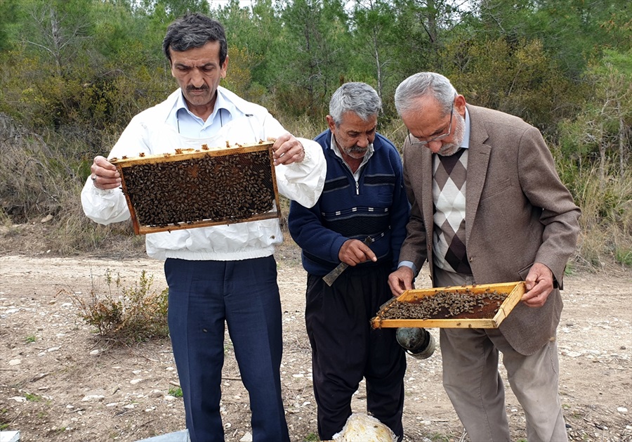 Çukurovalı arıcılar göçe hazırlanıyor