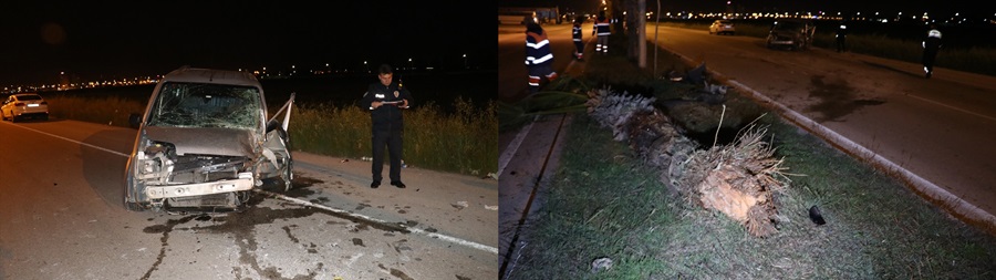 Adana'da hafif ticari araç ağaca çarptı: 1 yaralı