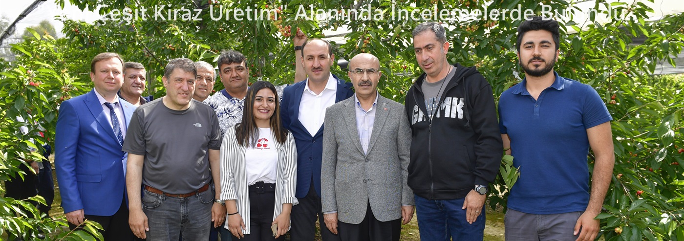 Vali Demirtaş, "Yeni Çeşit Kiraz Üretim" Alanında İncelemelerde Bulundu