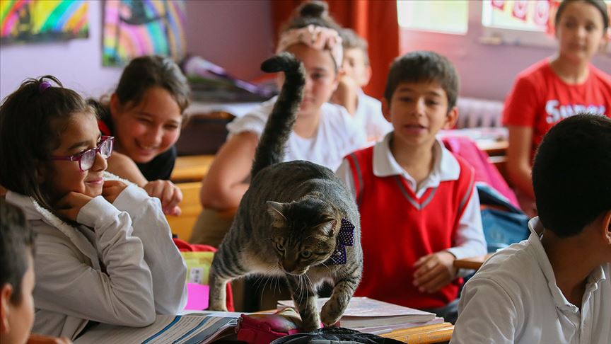 Öğrencilerin motivasyonu 'Ateş' ile arttı