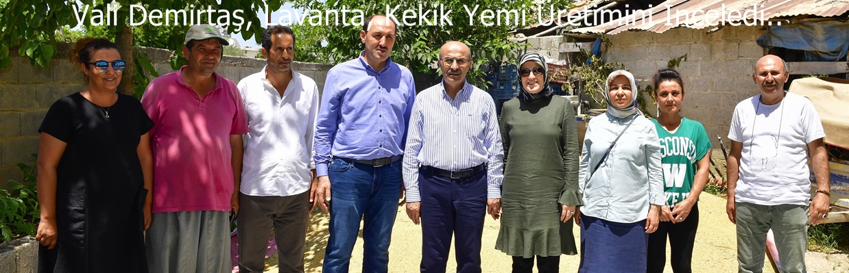 Vali Demirtaş, Lavanta, Kekik Yemi Üretimini İnceledi..