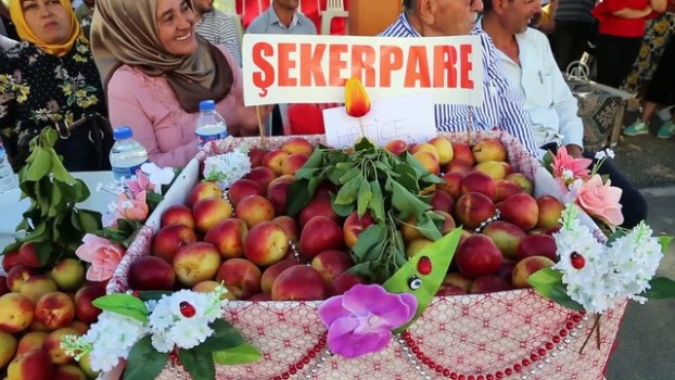 Hatay'da "Geleneksel Kayısı Festivali" yapıldı 