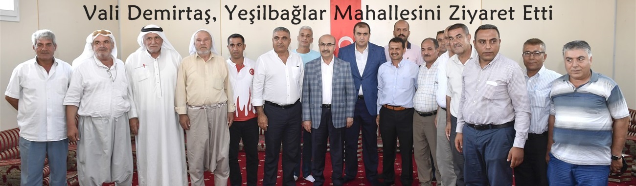 Vali Demirtaş, Yeşilbağlar Mahallesini Ziyaret Etti