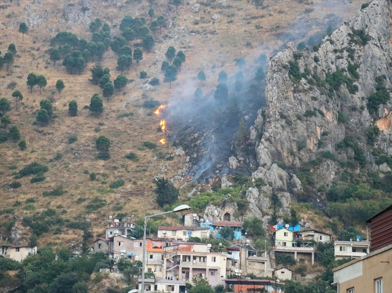 Hatay'da orman yangını