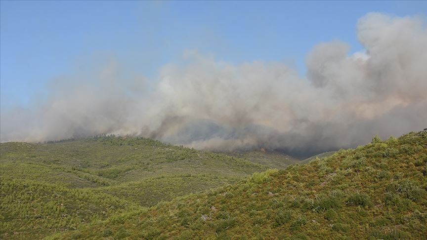 Aydın'da başlayıp Muğla'ya kadar ulaşan orman yangınını söndürme çalışmaları sürüyor