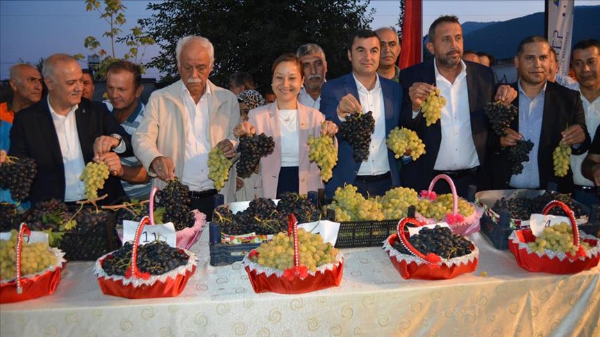 İslahiye Üzüm ve Biber Festivali başladı