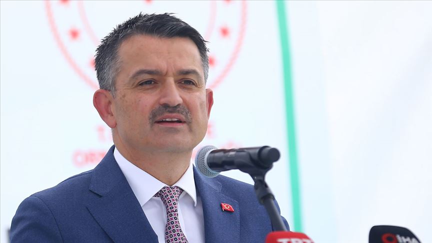 Bakan Pakdemirli: Zeytinyağı ve balda tağşiş yapanları piyasada yaşatmayacağız