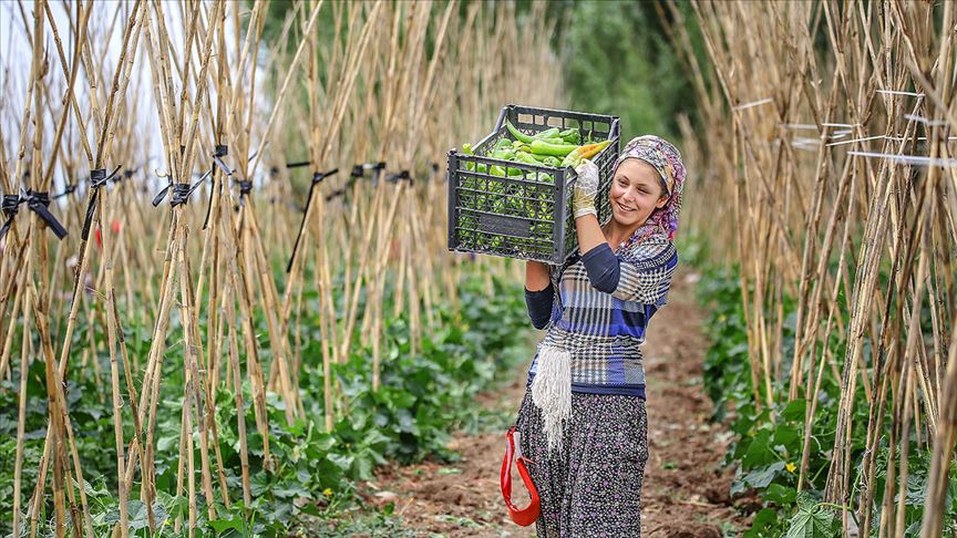 Organik ve iyi tarım uygulamaları için 2 milyar lira destek verildi