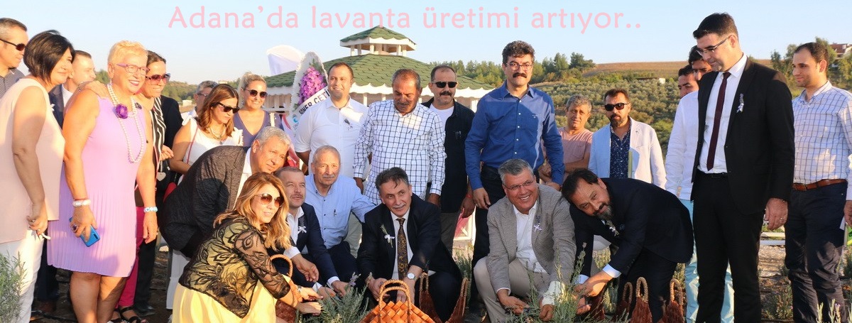 Adana’da lavanta üretimi artıyor