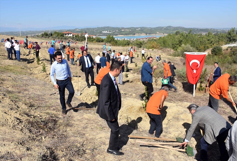 Adalet Ormanına anneler için 571 fidan dikildi