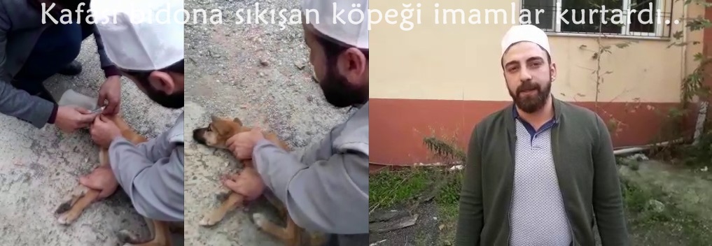 Kafası bidona sıkışan köpeği imamlar kurtardı