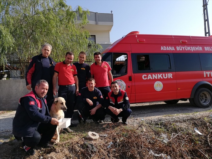 Adana'da kayalıklara sıkışan gebe köpek kurtarıldı