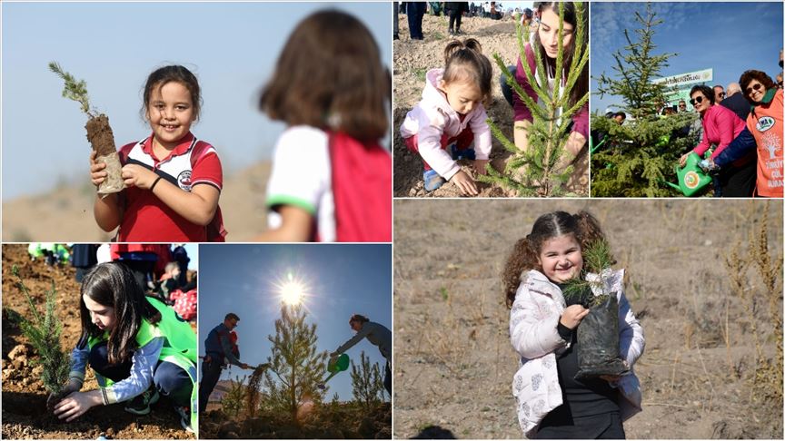 81 ilde '11 Milyon Fidan' toprakla buluşuyor