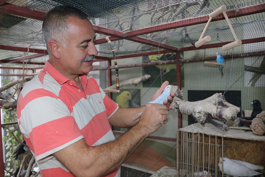 Hobisi geçim kaynağı oldu