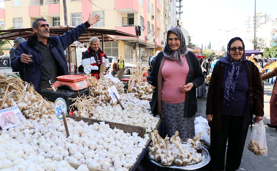 Sarımsak halde 35, pazarda 80 lira