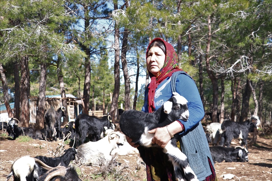 Sarıkeçili Yörükleri "en değerli varlıklarını" depremzedeler için bağışladı